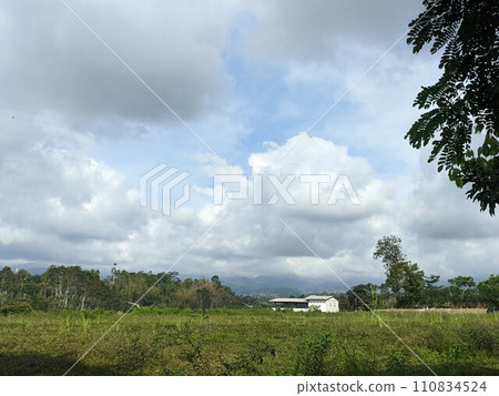 The road is in the middle of forests and mountains which are cloudy and cool 110834524