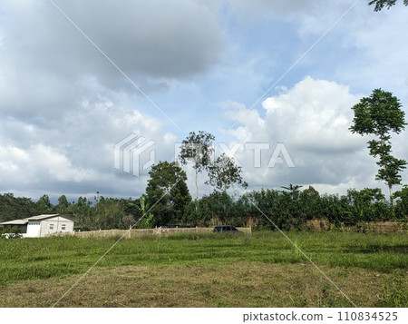 Street on the edge of town 110834525