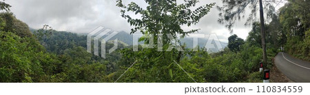 The road is in the middle of forests and mountains which are cloudy and cool 110834559