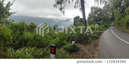 The road is in the middle of forests and mountains which are cloudy and cool 110834560