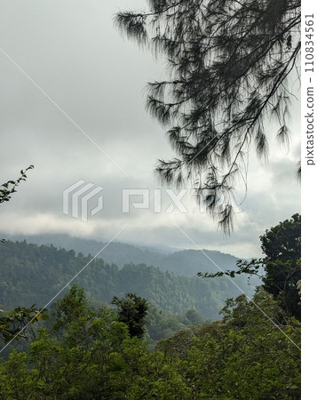 The road is in the middle of forests and mountains which are cloudy and cool 110834561