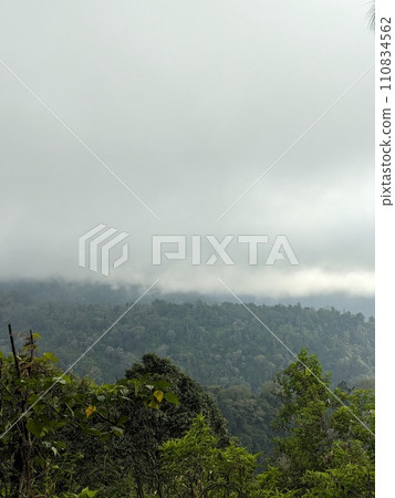The road is in the middle of forests and mountains which are cloudy and cool 110834562