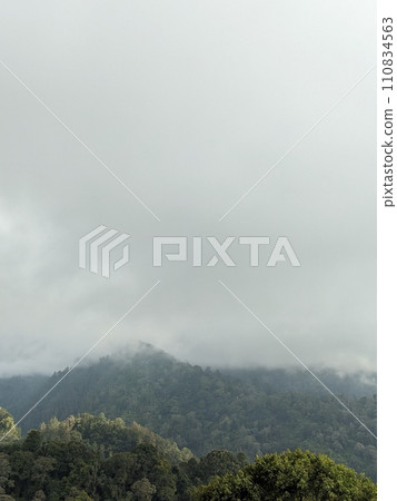 The road is in the middle of forests and mountains which are cloudy and cool 110834563
