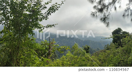 The road is in the middle of forests and mountains which are cloudy and cool 110834567