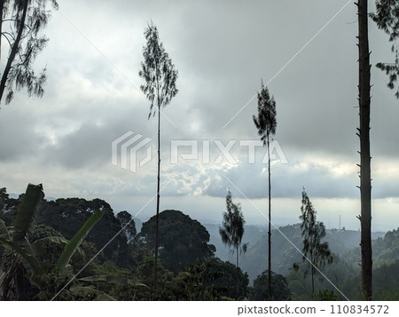 The road is in the middle of forests and mountains which are cloudy and cool The road is in the middle of forests and mountains which are cloudy and cool 110834572