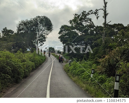 The road is in the middle of forests and mountains which are cloudy and cool 110834575