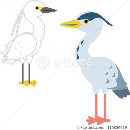 小白鷺鷥和灰鷺的變形圖 110834689