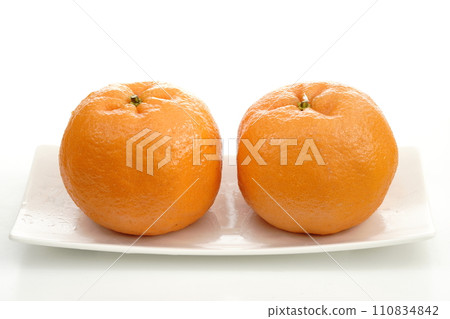 Fresh Orange Ponkan “Jin” from Mie Prefecture 110834842