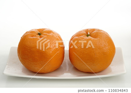 Fresh Orange Ponkan “Jin” from Mie Prefecture Fresh Orange Ponkan “Jin” from Mie Prefecture 110834843