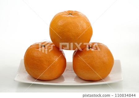 Fresh Orange Ponkan “Jin” from Mie Prefecture Fresh Orange Ponkan “Jin” from Mie Prefecture 110834844