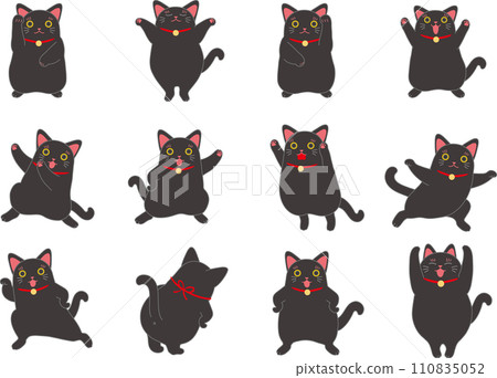 招財貓_黑招財貓_套裝 110835052