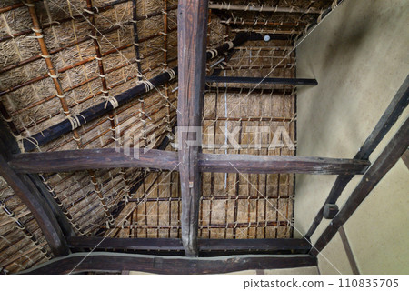 Nishiyama Goten (Nishiyamaso) 2023-5-3 #33 Nishiyama Goten (Nishiyamaso) 2023-5-3 #33 110835705