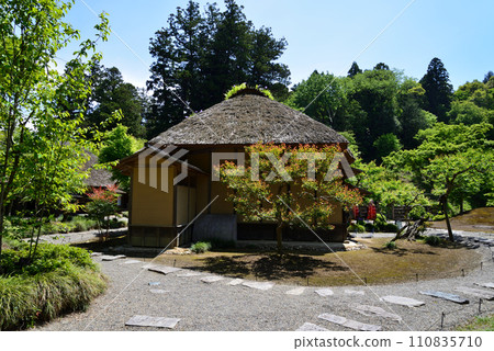 Nishiyama Goten (Nishiyamaso) 2023-5-3 #38 110835710