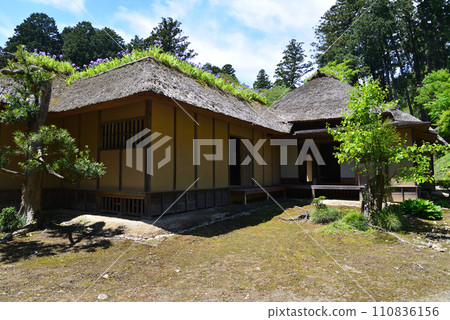 Nishiyama Goten (Nishiyamaso) 2023-5-3 #60 110836156