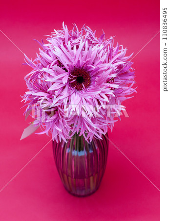pink gerbera bouquet material pink gerbera bouquet material 110836495