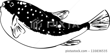 Japanese style blowfish line drawing sumi-e illustration Japanese style blowfish line drawing sumi-e illustration 110836535