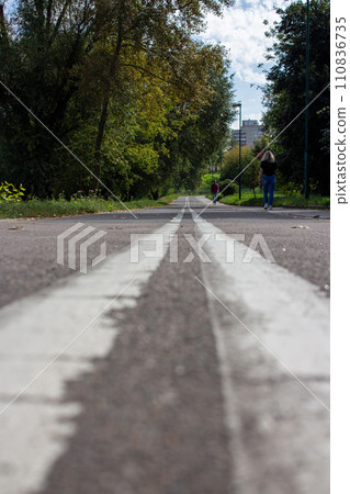 Bicycle road in the park  110836735