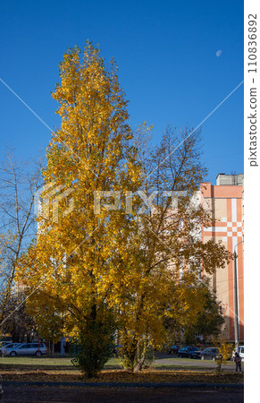 Autumn landscape on a sunny day Autumn landscape on a sunny day 110836892