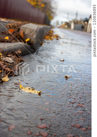 Autumn landscape on a sunny day  110836893