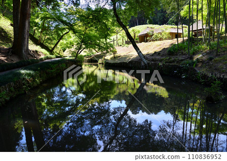 Nishiyama Goten (Nishiyamaso) 2023-5-3 #63 Nishiyama Goten (Nishiyamaso) 2023-5-3 #63 110836952