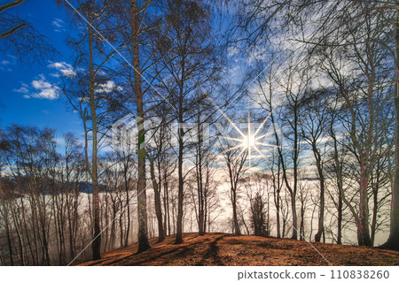 Mountain landscape with sun filtering through the plants 110838260