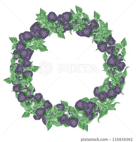 Hand drawn watercolor blackberry with green leaves wreath border isolated on white background. Can be used for cards, label and other printed products. Hand drawn watercolor blackberry with green leaves wreath border isolated on white background. Can be used for cards, label and other printed products. 110838362