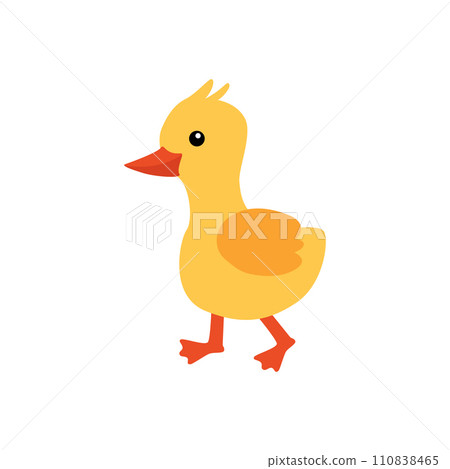 Cartoon vector illustration. Duckling is an animal and a family duckling. 110838465
