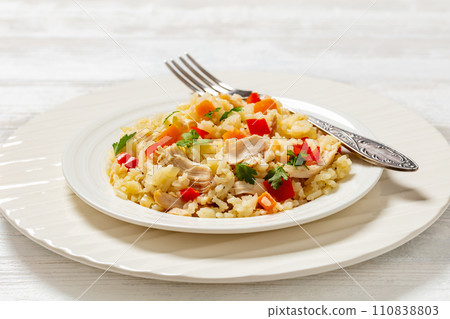 Chicken Fried Rice with vegetables in white bowl Chicken Fried Rice with vegetables in white bowl 110838803