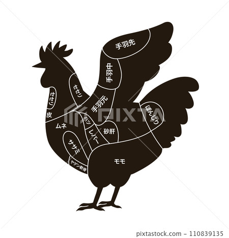 顯示雞輪廓和雞部位的圖表 顯示雞輪廓和雞部位的圖表 110839135