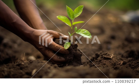 AI-generated content. Close-up hands planting young tree in soil, symbolizing growth and environment care 110839217