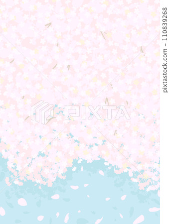 Fluffy cherry blossoms and blue sky 110839268