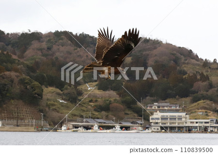 海之京都、伊根町、船屋集團 海之京都、伊根町、船屋集團 110839500