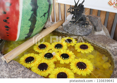 Wakeoe Shrine, Kita-ku, Nagoya City, Aichi Prefecture Wakeoe Shrine, Kita-ku, Nagoya City, Aichi Prefecture 110839641