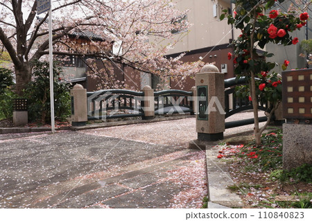 京都白川 京都白川 110840823