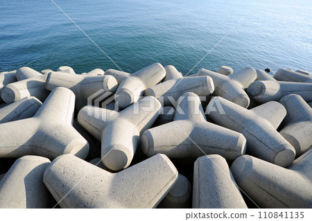 Tetrapod Tetrapod 110841135