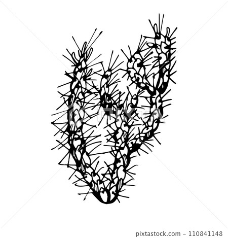 Hand drawn ink vector illustration, nature tropical exotic desert plant succulent cactus aloe agave leaves. Single object isolated white background. Design travel, vacation, brochure, print, botanical 110841148