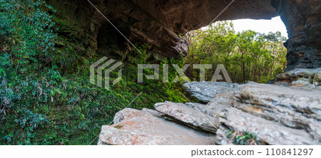 Tranquil Overhang Shelter Surrounded by Dense Greenery 110841297