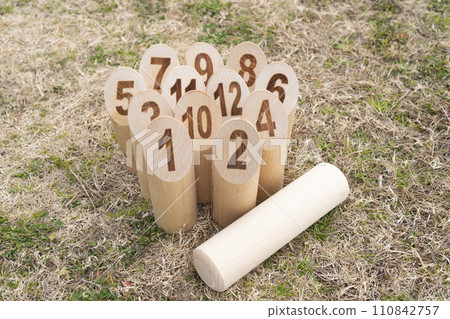 12 Skittles and Moluks lined up on the lawn 110842757