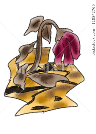 破裂的土地和乾燥花 110842769