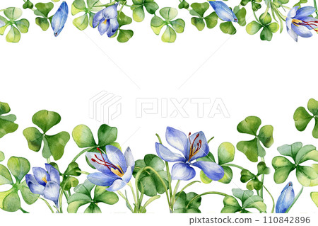 Seamless border with saffron and clover watercolor illustration isolated on white. Painted herbal plants and flowers. Hand drawn Irish symbol. Design element for St.Patricks day, Easter, package Seamless border with saffron and clover watercolor illustration isolated on white. Painted herbal plants and flowers. Hand drawn Irish symbol. Design element for St.Patricks day, Easter, package 110842896
