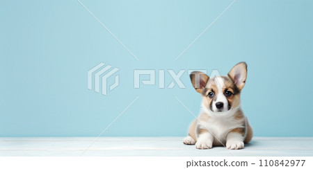 AI-generated content. Adorable cute pet taking a bath and covered in towel 110842977