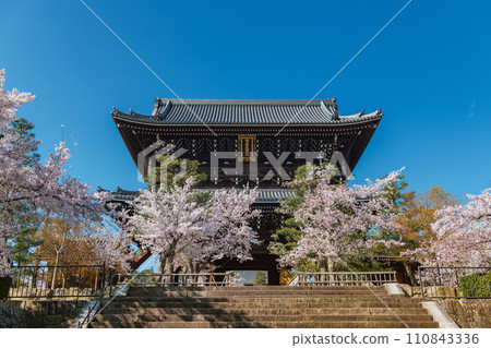 京都 Konkai Komyoji 寺正門的春景 110843336