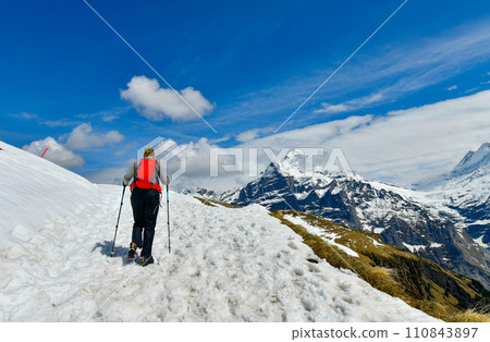 Scene with hikers walking along the alpine paths of the Bachalpsee Lake Trail in Swiss Alps Grindelwald ,Switzerland 110843897