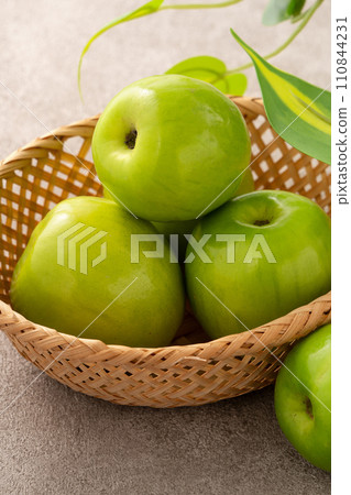 棗子 蜜棗 棗 新鮮 Indian jujube milk jujube ナツメ インドナツメ 110844231