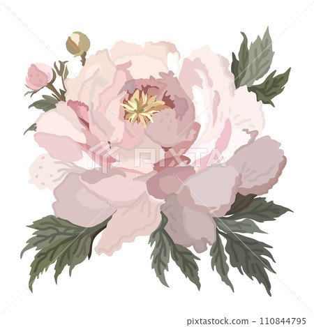 Pink peony with leaves. Vector isolated illustration. 110844795