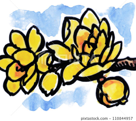 圖片字母風格蠟梅畫水彩 24123pix7 110844957