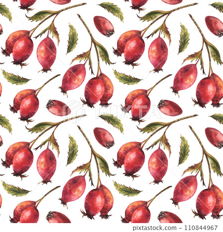 Branch of wild rosehips with red briar fruits, dog rose green leaves. Seamless pattern Hand drawn watercolor illustration for label print, wallpaper, wrapping paper, fabric Isolated white background 110844967