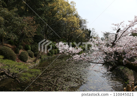 Yuzuki Castle Ruins, No. 80 of Japan's 100 Famous Castles, located in Matsuyama City⑦ Yuzuki Castle Ruins, No. 80 of Japan's 100 Famous Castles, located in Matsuyama City⑦ 110845021