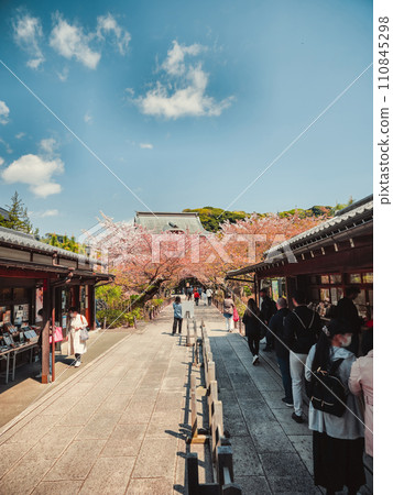 Tourism during Spring in the streets of Japan Tourism during Spring in the streets of Japan 110845298