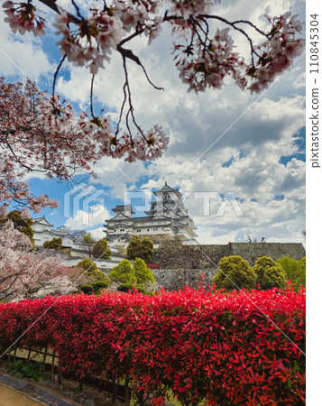 Japan and its wonders ready for spring Japan and its wonders ready for spring 110845304